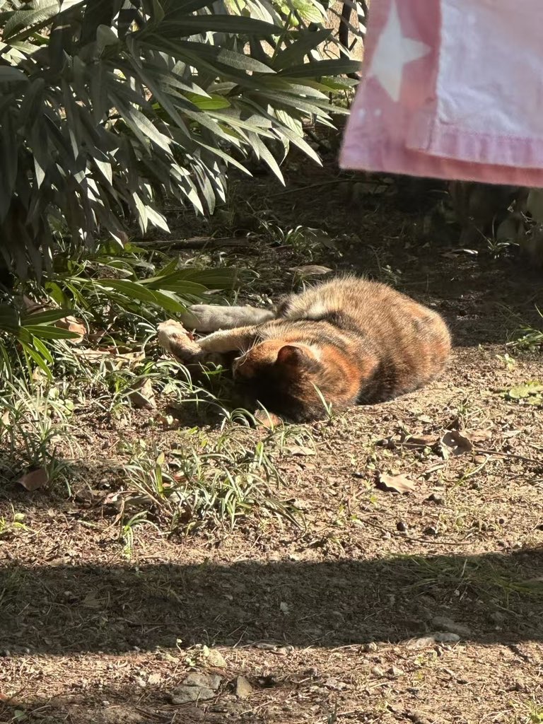 黄推福利内容 - 粥粥的精彩图片 福利姬粥粥分享的黄推图片3 - 网红私拍内容