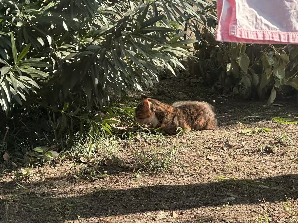 黄推福利内容 - 粥粥的精彩图片 福利姬粥粥分享的黄推图片2 - 网红私拍内容