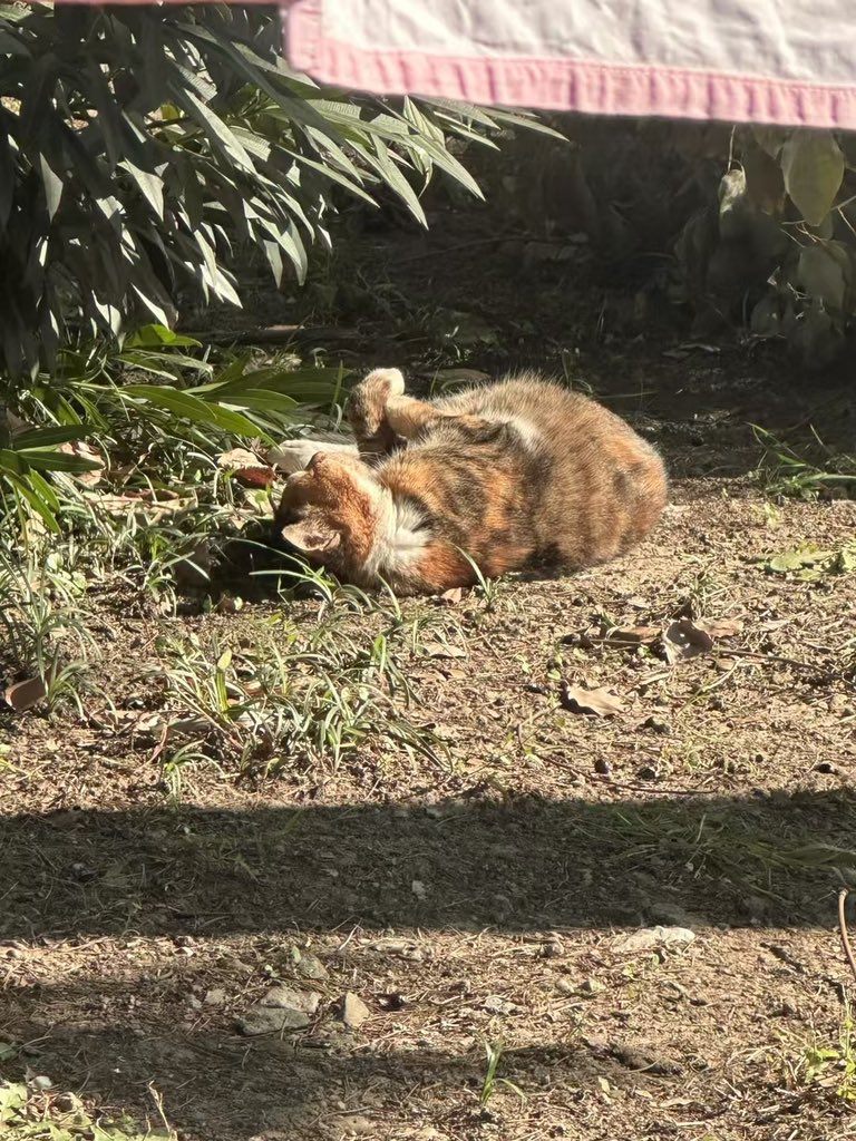 黄推福利内容 - 粥粥的精彩图片 福利姬粥粥分享的黄推图片4 - 网红私拍内容