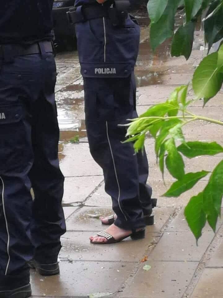 GdnOqJXXsAAWoiS