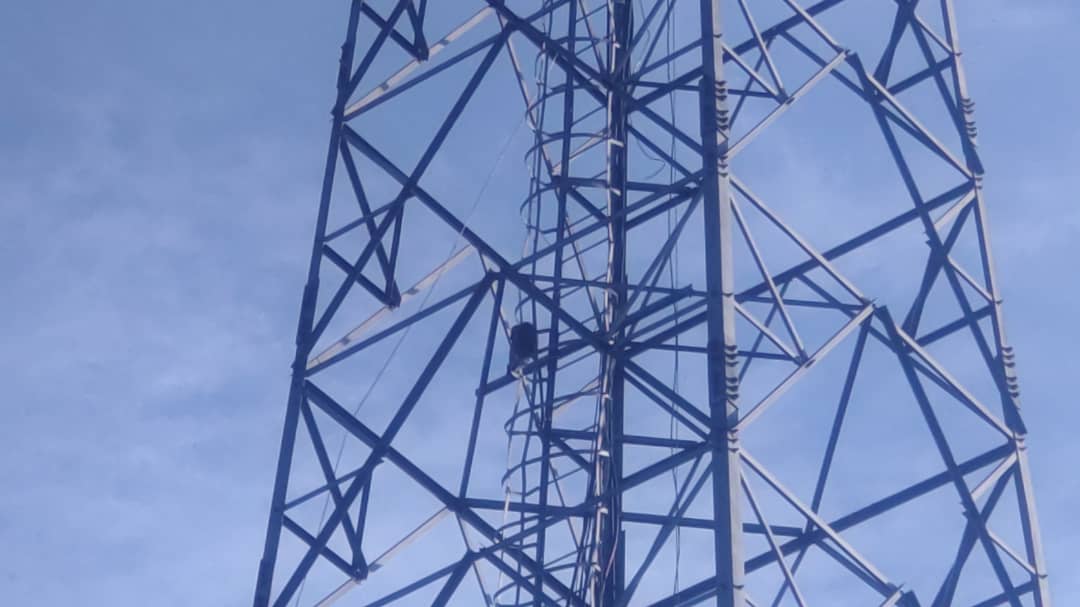 lafortunerdc's tweet image. #Nord-kivu : Un singe en divagation intercepté sur une antenne de télécommunication ce samedi matin 30 novembre 2024, dans le quartier #Majengo (entre le centre de santé Kimuti et le marché Majengo), en commune de Karisimbi, à #Goma.