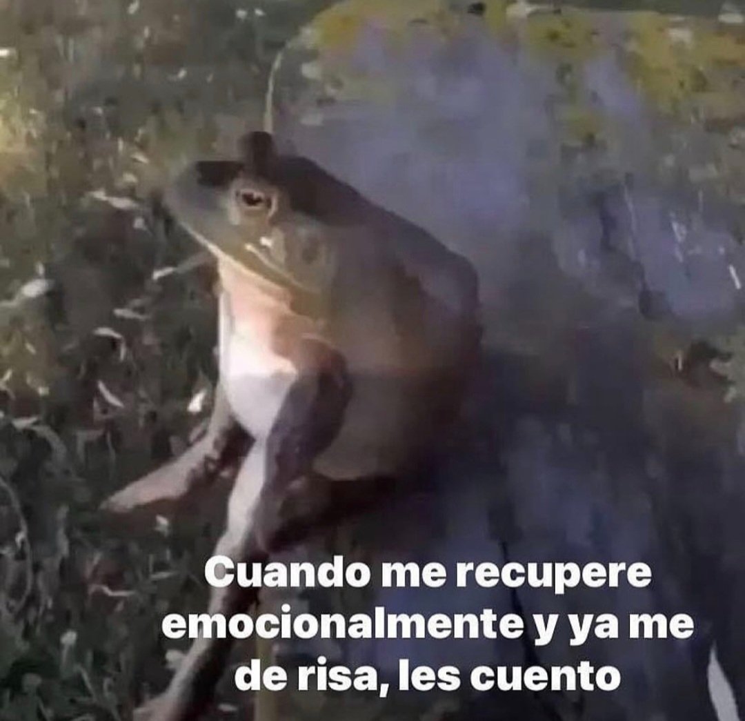 En Júpiter tweet media