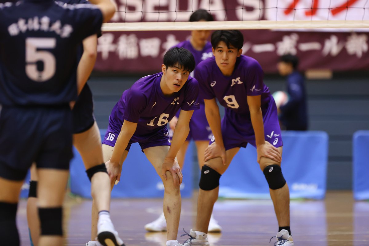 univas1's tweet photo. ／
#全日本バレーボール大学選手権大会🏐
📣男子準々決勝フォトレポート
＼

✅11月29日（金）試合結果

#日本体育大学　3-0　#明治大学

@NSSUVBMT
@meiji_volley

大学スポーツ観戦アプリ #UNIVASPlus では
試合映像を無料ライブ配信中！🔥

📲観戦アプリダウンロード
https://t.co/pykpTzG3IN

#全日本インカレバレー #大学バレー #全カレ