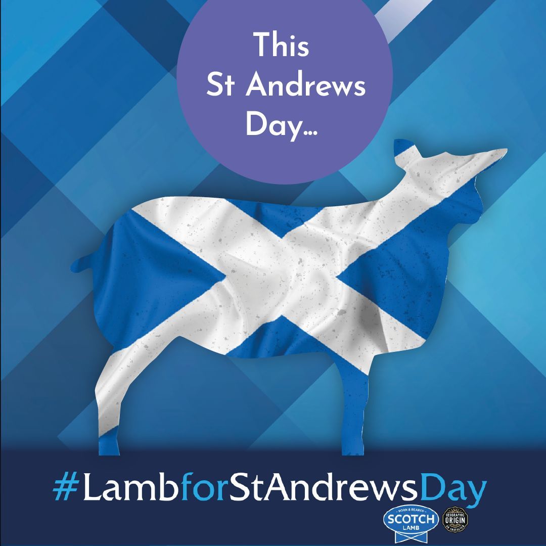 Choose Scotch Lamb and get your second level learners using problem solving skills to develop knowledge of wool and shearing in Scotland with our escape room activity! buff.ly/4eFLBlT #LambforStAndrewsday @‌EdScot_maths