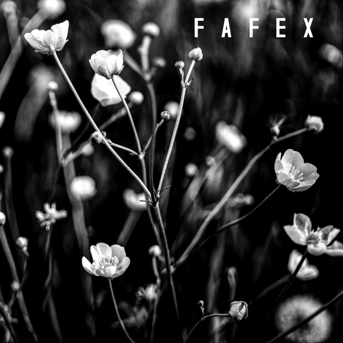 fafex1's tweet photo. Pred 6 rokmi som mal krátke obdobie nahrávania s akustickou gitarou. Vznikol tak "Pomalý album" kde som okrem iného zhudobnil aj báseň Kukučka od Jána Botta
Youtube: https://t.co/QsrfmMj3iw
Spotify:https://t.co/4Ox1pb1sgI
Bandcamp: https://t.co/MZQNpKRVVj
#slovenskahudba #fafex https://t.co/Ls72sIqX6B