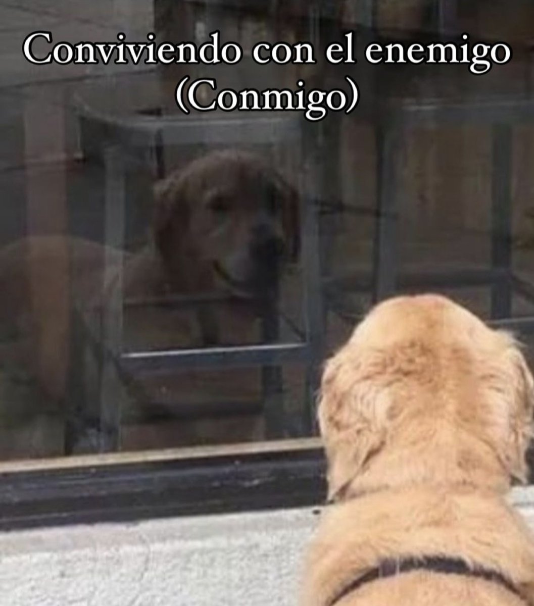 En Júpiter (@en_jupiter_) on Twitter photo 