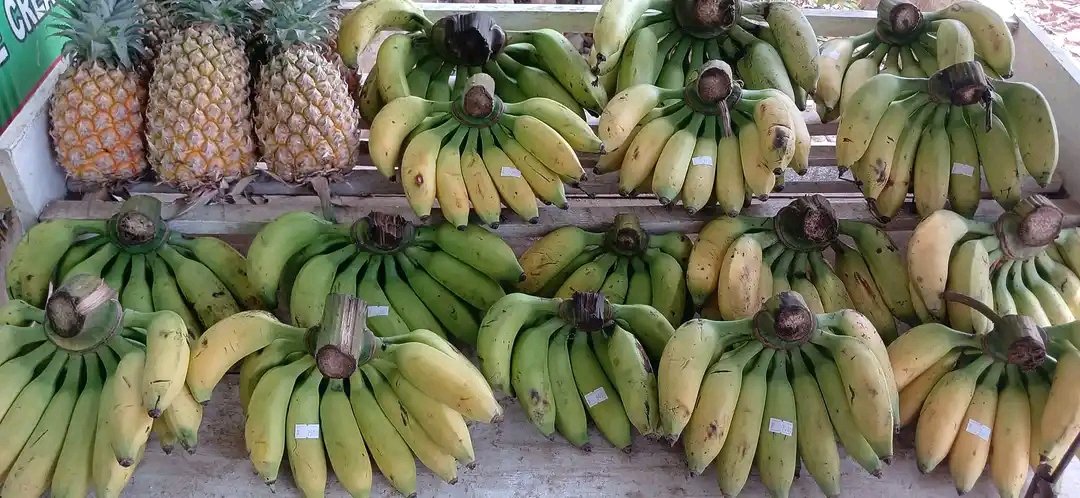 yuASeda's tweet photo. Masih fresh, segar dan lezat 🤭 https://t.co/NOBPzig9qF