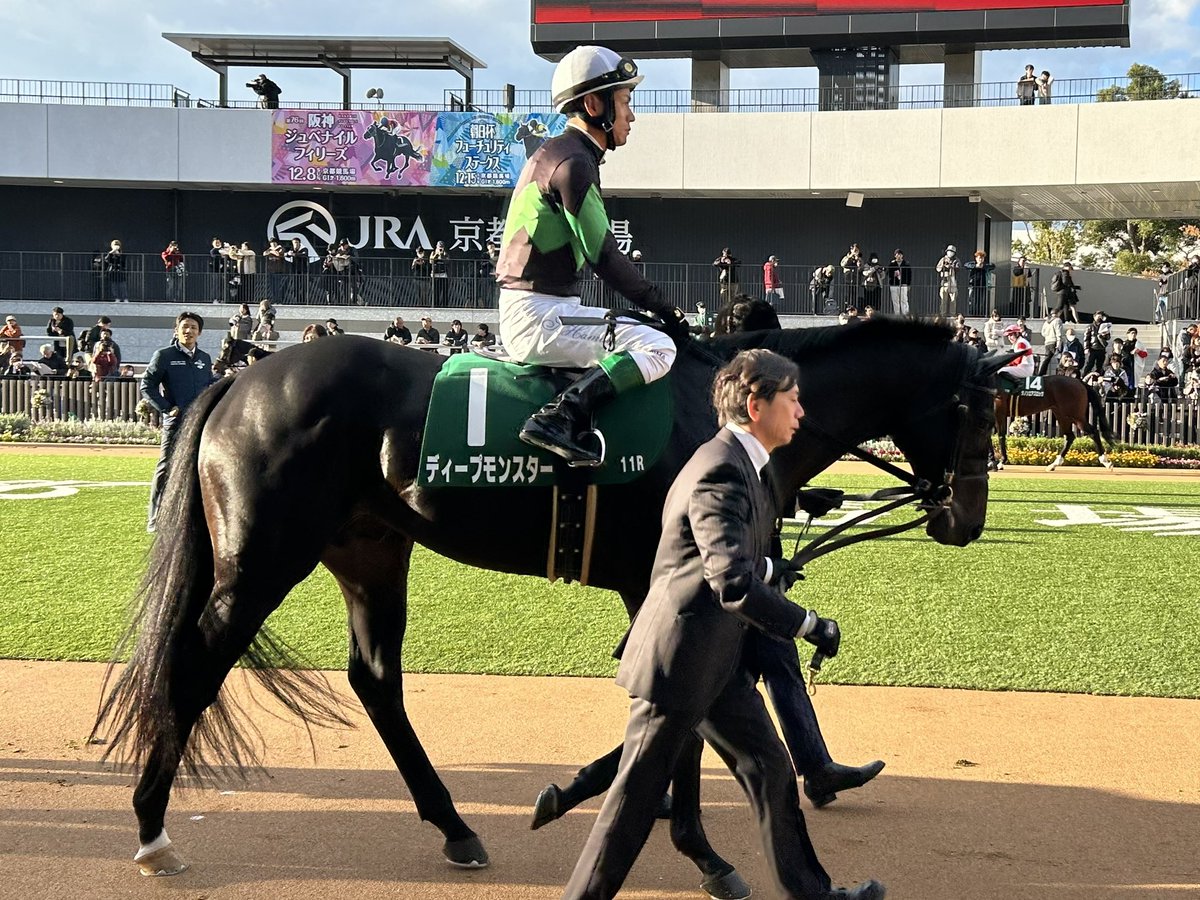 YA_Farm's tweet photo. 今日も京都競馬の口取り当選して、スーツでグランデスフィーダ&amp;ディープモンスターの応援行ったけど、ともに２着😭
どちらも頑張ってくれて感動したよ！ https://t.co/l3OiHFSnHi