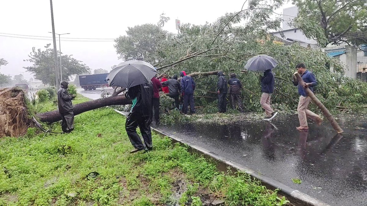 OMRupdates's tweet image. #ChennaiRains 
#GSTRoad - Maduranthakam Road blocked due to Tree Fall.