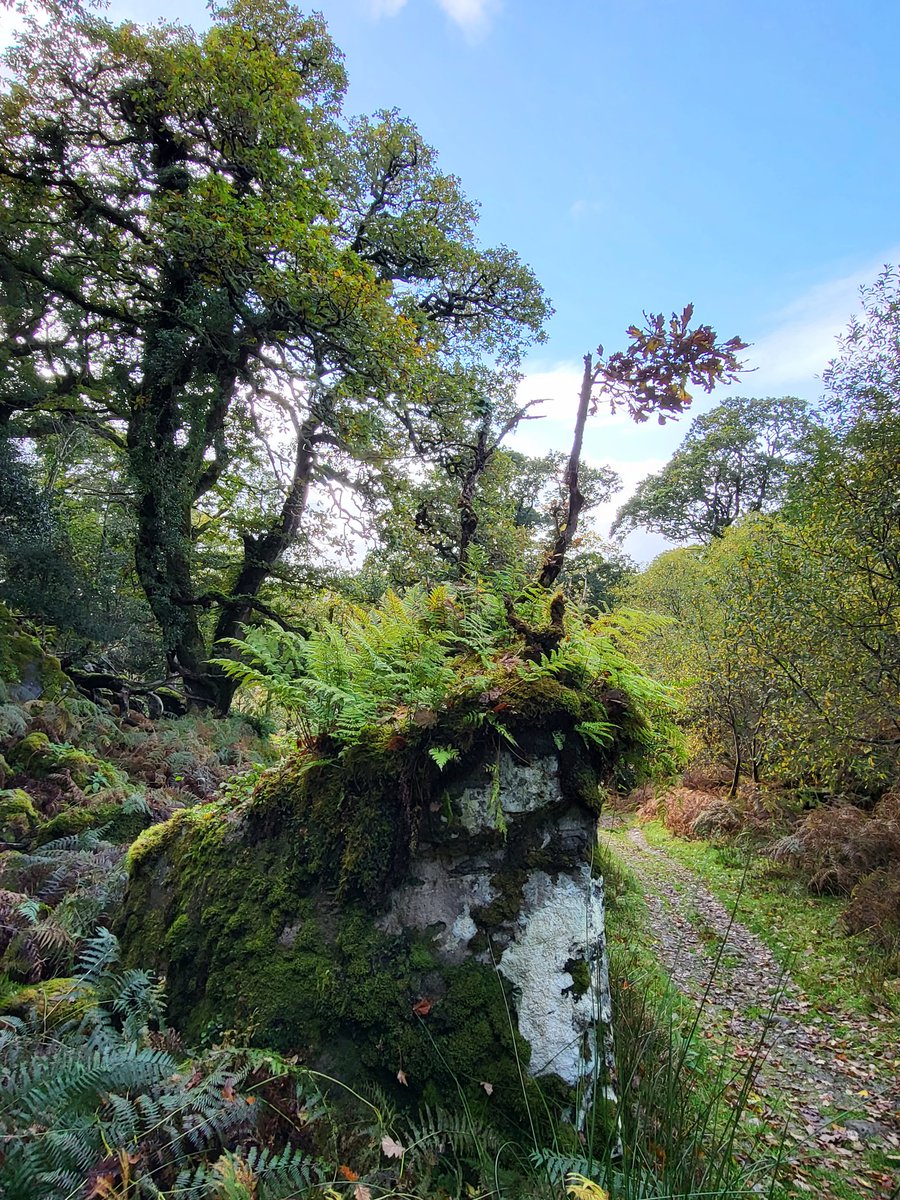 Eoghan Daltun 🌍 tweet media