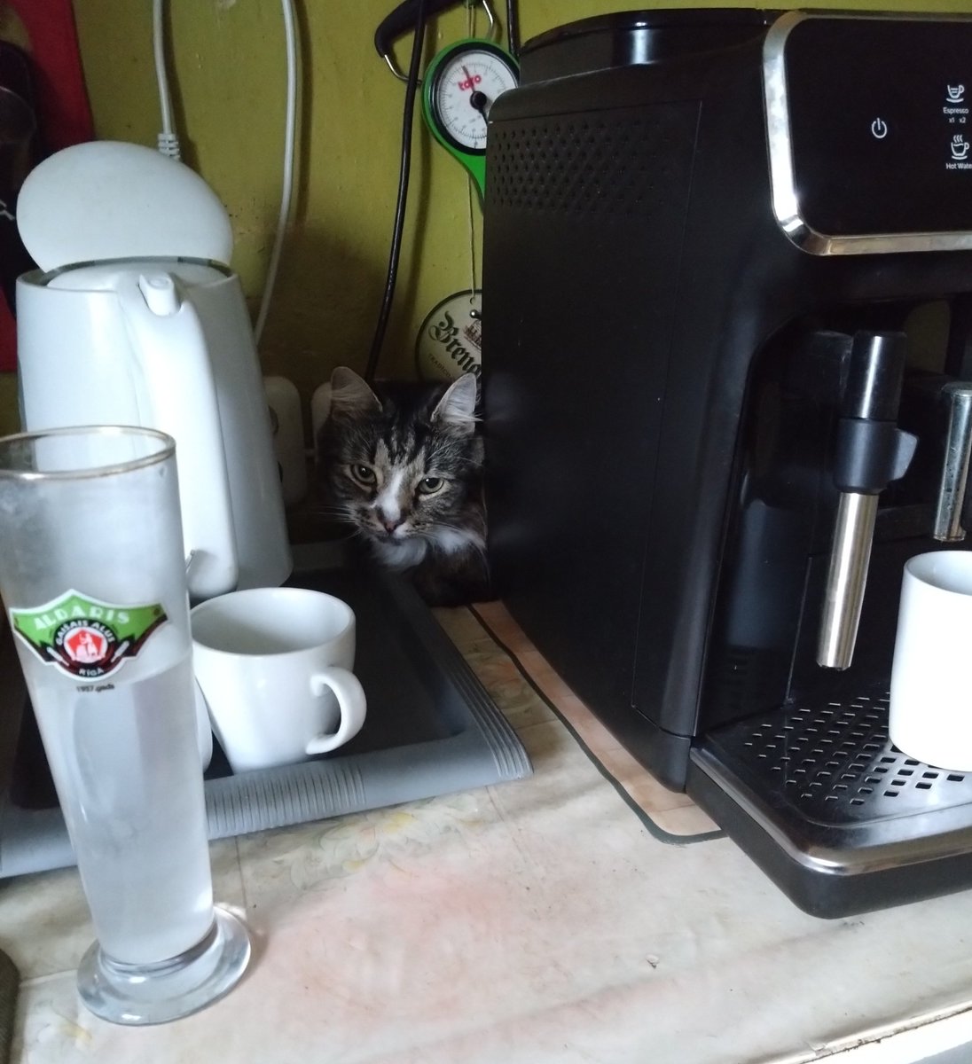 oskars Bukainis 🇺🇦🇱🇻🇺🇦 tweet media