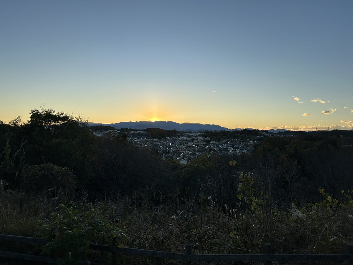 corikitter's tweet photo. 久しぶりに小山田緑地。ここはやっぱり気持ちいいなぁ。 https://t.co/6x9WhzWAxk