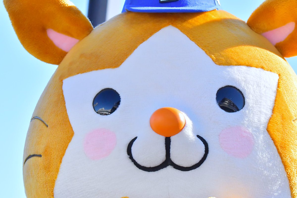 ssyk0531's tweet image. 持ってるレンズが全然合わず画面一杯のスターマンが撮れた　ｶﾜｲｲﾈｪ