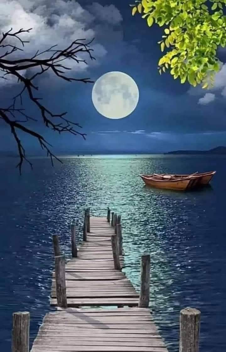 غياباتي الواجد .. عن وجيه الناس
يبرّرها وجود اللي عن الناس مغنيني 💕