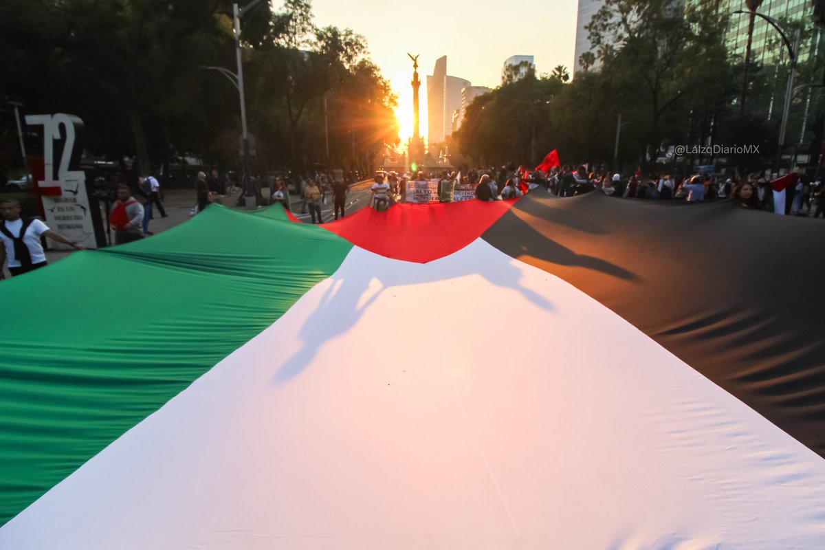 Este #29N miles salimos a las calles en la CDMX en solidaridad con el pueblo palestino, por el cese al fuego inmediato  y por la ruptura de relaciones académicas políticas del gobierno mexicano con Israel 
#FromTheRiverToTheSea #PalestineWillBeFree