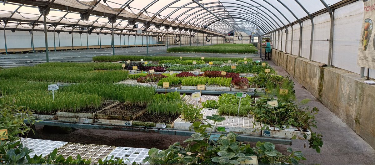 Pep Muñoz Rubio 🍊 tweet media