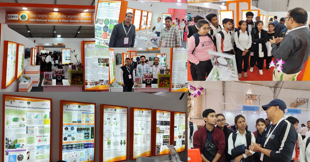 BRIC-NIPGR (@nipgrsocial) on Twitter photo <a href="/NIPGRsocial/">BRIC-NIPGR</a> is showcasing groundbreaking research at #IISF2024 at #IITGuwahati! Join us from Nov 30 to Dec 3, 2024, to explore scientific posters, innovative models, and engage with our experts.
<a href="/DBTIndia/">Department of Biotechnology</a> <a href="/IISF_2024/">IISF 2024</a> <a href="/iisfofficial/">IISF 2019</a> <a href="/Vibha_India/">Vijnana Bharati</a> <a href="/SciComm_India/">SciCommIndia 🇮🇳</a> <a href="/IITGuwahati/">IIT Guwahati</a> <a href="/NIPGRsocial/">BRIC-NIPGR</a> is showcasing groundbreaking research at #IISF2024 at #IITGuwahati! Join us from Nov 30 to Dec 3, 2024, to explore scientific posters, innovative models, and engage with our experts.
<a href="/DBTIndia/">Department of Biotechnology</a> <a href="/IISF_2024/">IISF 2024</a> <a href="/iisfofficial/">IISF 2019</a> <a href="/Vibha_India/">Vijnana Bharati</a> <a href="/SciComm_India/">SciCommIndia 🇮🇳</a> <a href="/IITGuwahati/">IIT Guwahati</a>