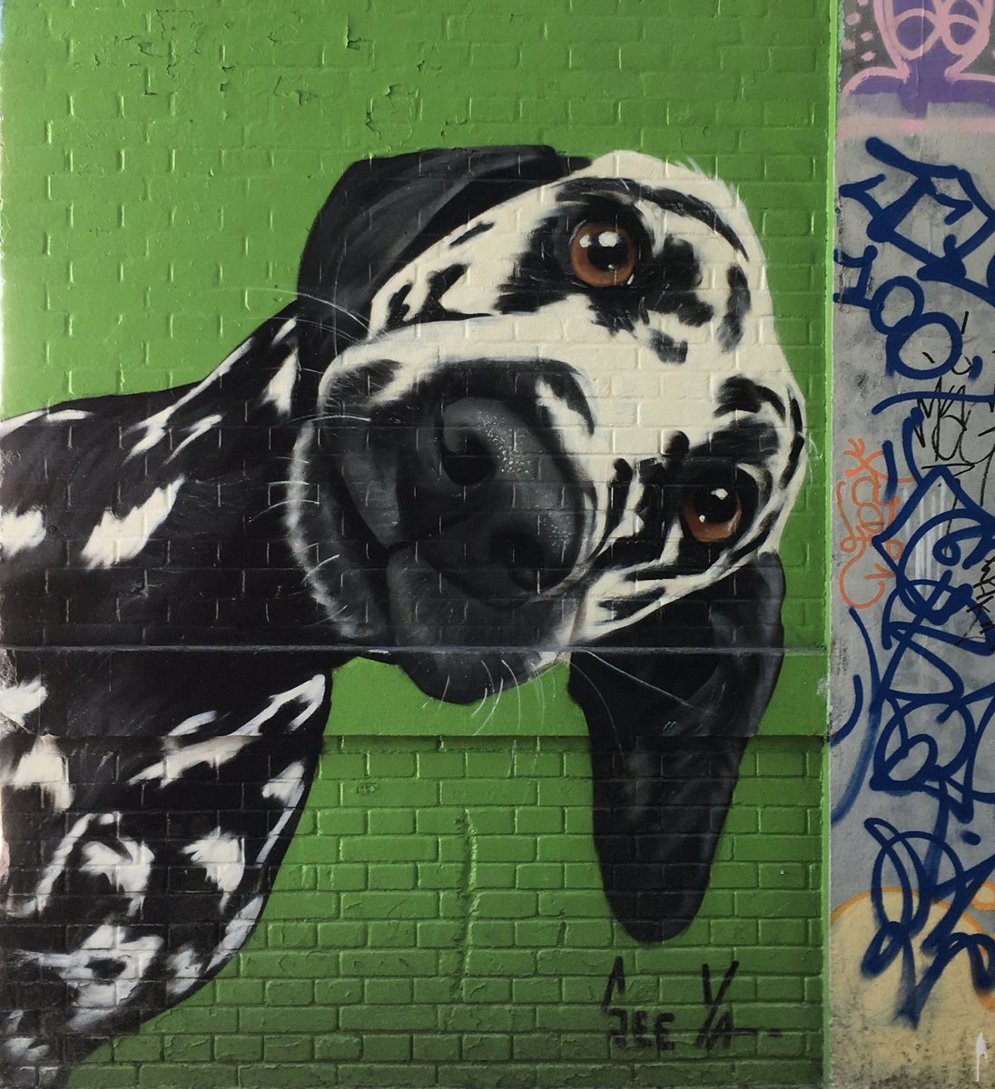 Patrick Perivier tweet media