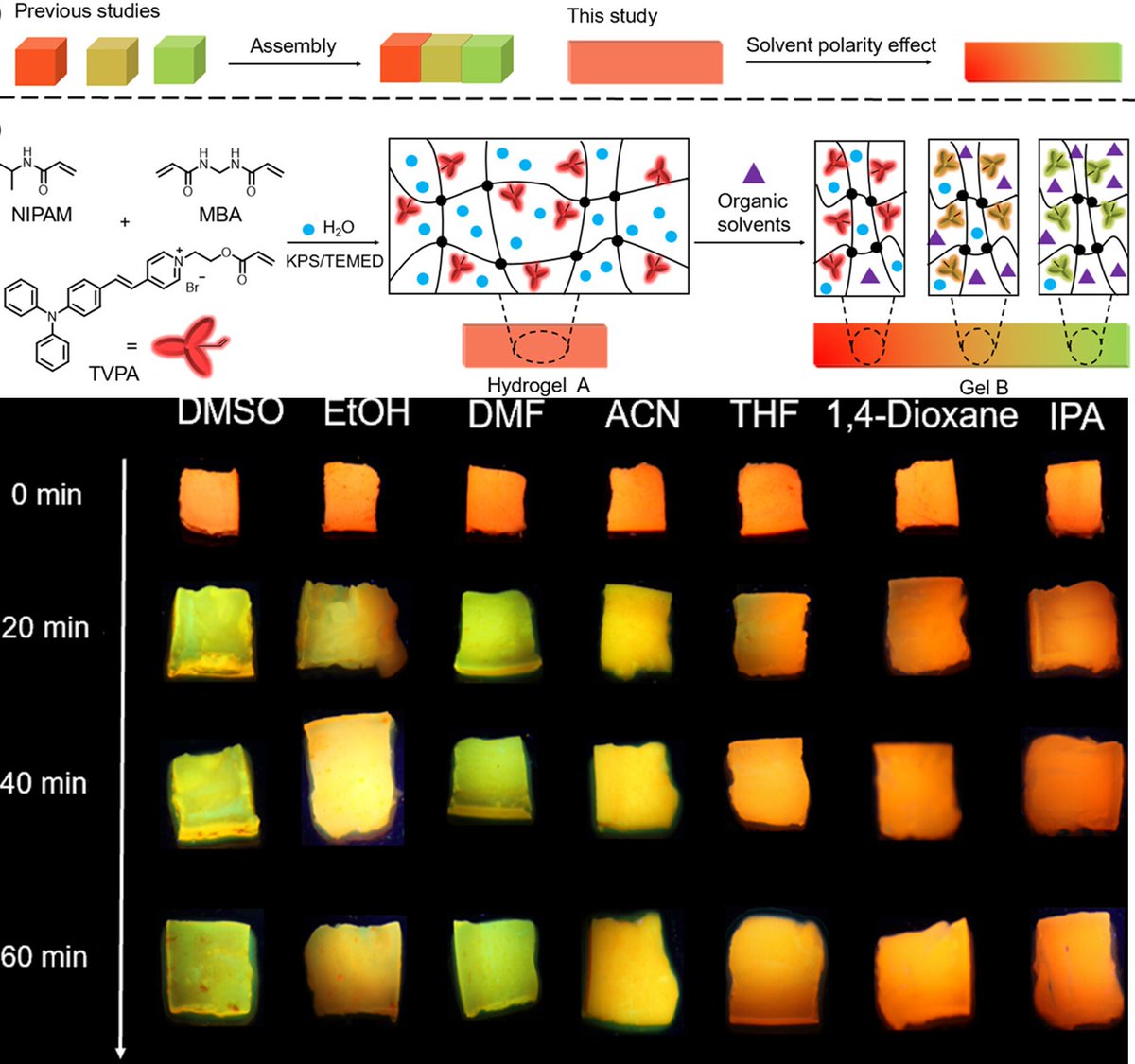 SmartMat2's tweet image. AIE gel exhibiting continuous gradient fluorescence based on a polar-responsive AIE-gen
@BenZhongTANG1 @AggregateOA 

doi.org/10.1002/smm2.1…