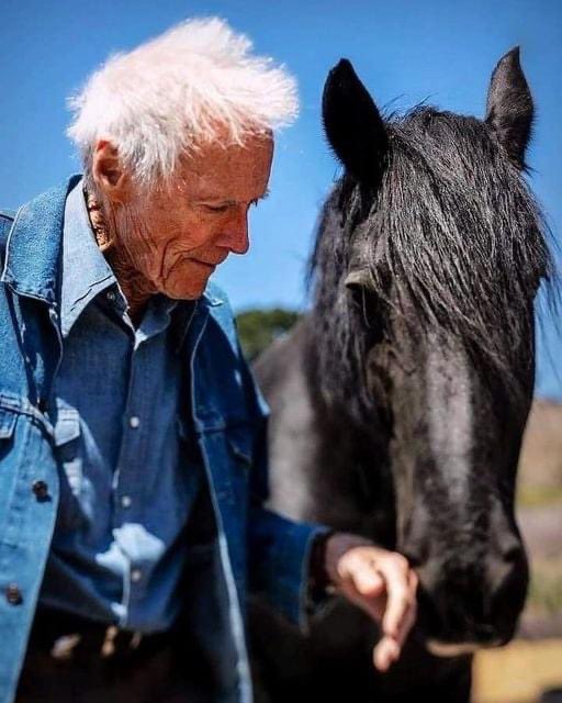 #クリント・イーストウッド監督の陪審員2番は劇場公開を希望します

日本の映画関係者のみなさん、本当にいいんですか？立ち上がる人はいないんですか？イーストウッド監督の最後とされる映画が劇場で初公開されず配信スルーなんですよ？日本は監督イーストウッドを昔から評価していた国なんですよ？