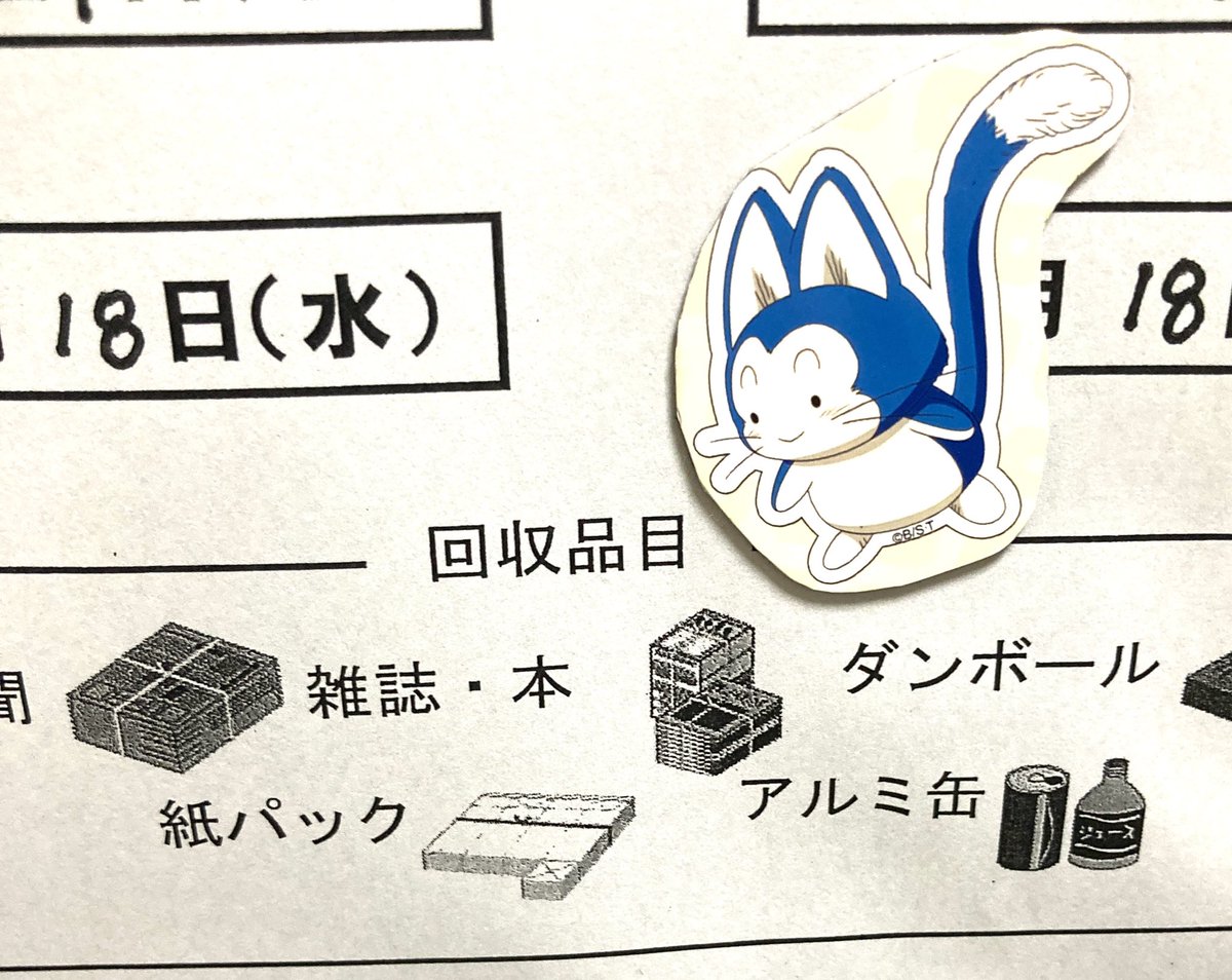 これは俺んちのゴミ回収お知らせを凝視してるプーアル(裏にマグネットはって冷蔵庫に貼った) 