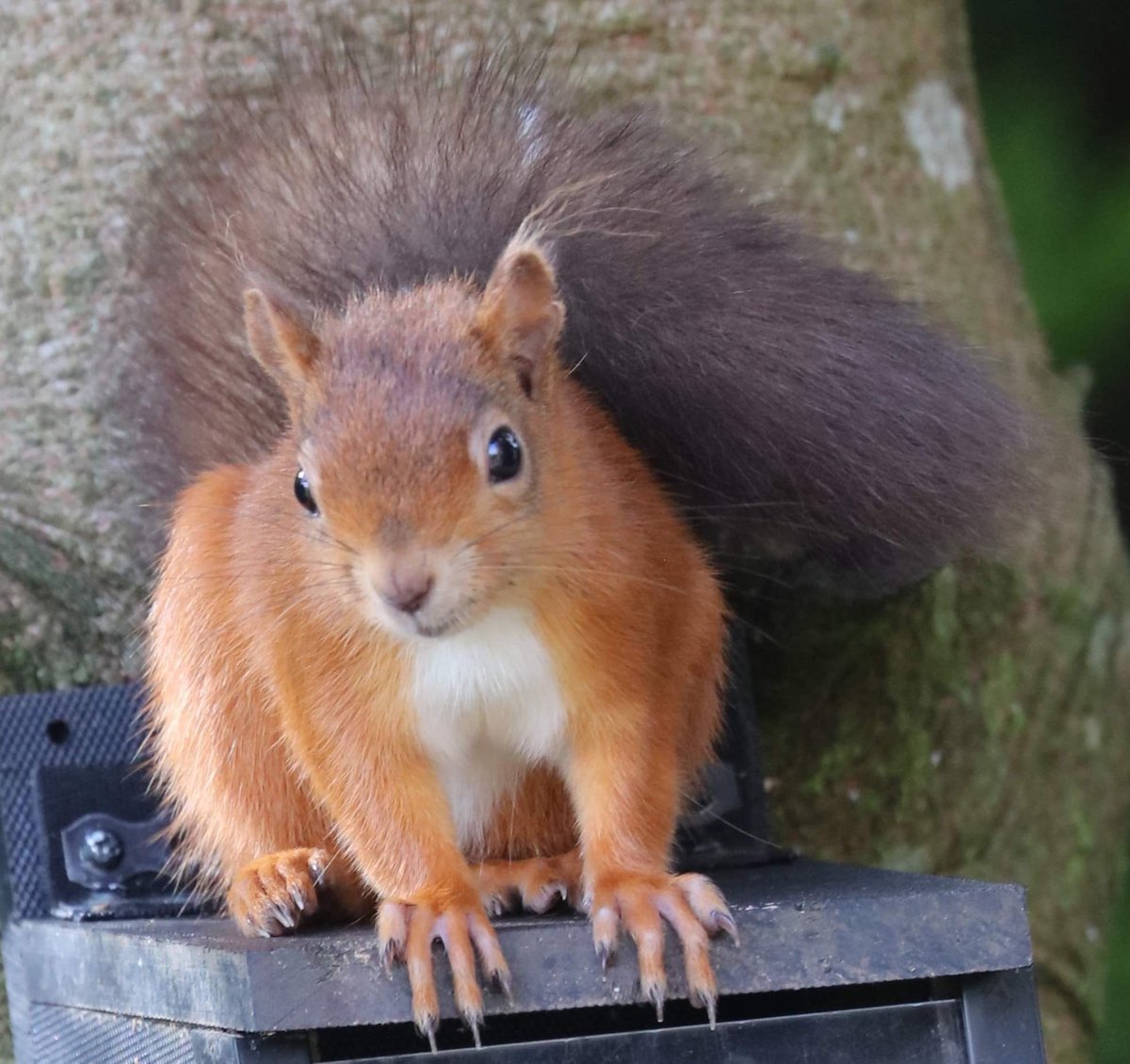 FOCUS on The North East tweet media