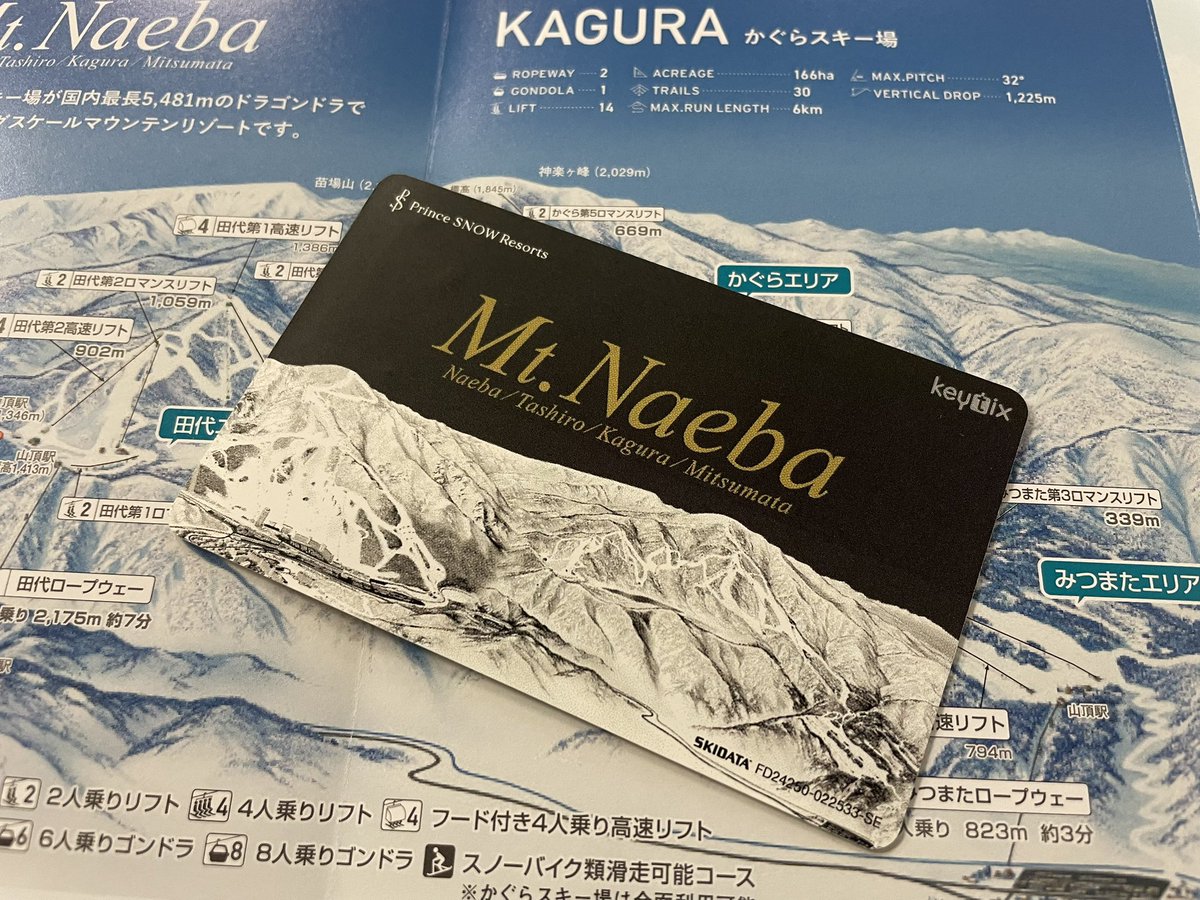 今季導入したICゲート用のリフトチケットです。 シックで高級感のある