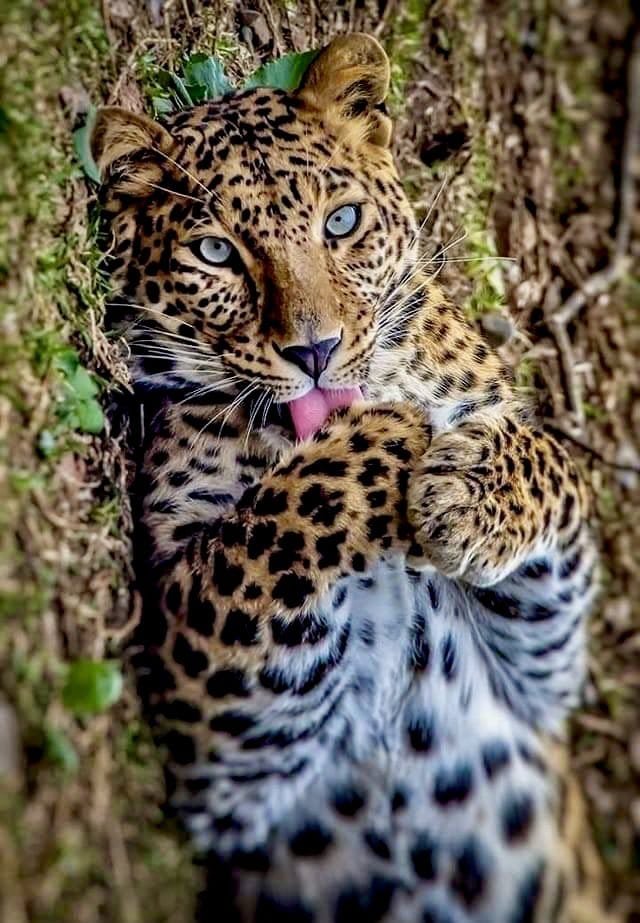 Fantastico fine settimana a tutti 😘
Fantastic weekend everyone 💗