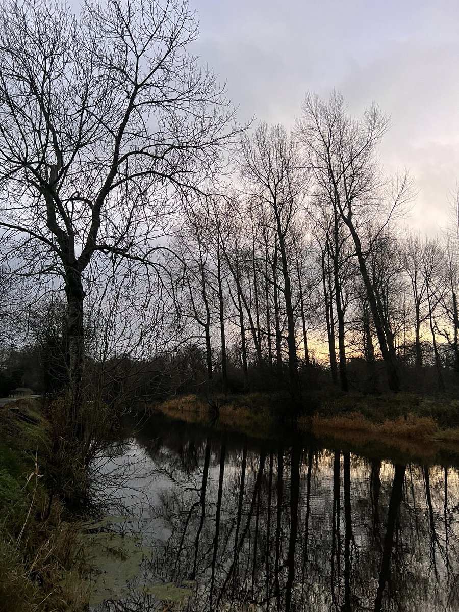 First light on the canal #movaghner