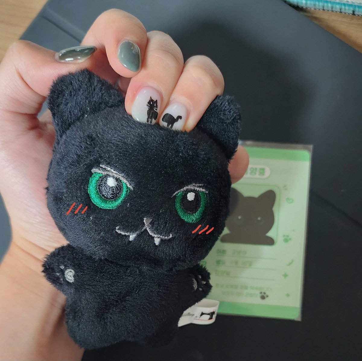 뀬밤이 도착💚