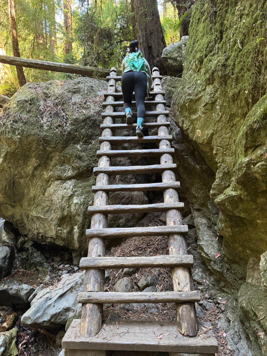 stephyjgee's tweet photo. Steep ravine trail was hella cool https://t.co/dxlj1KC5SX