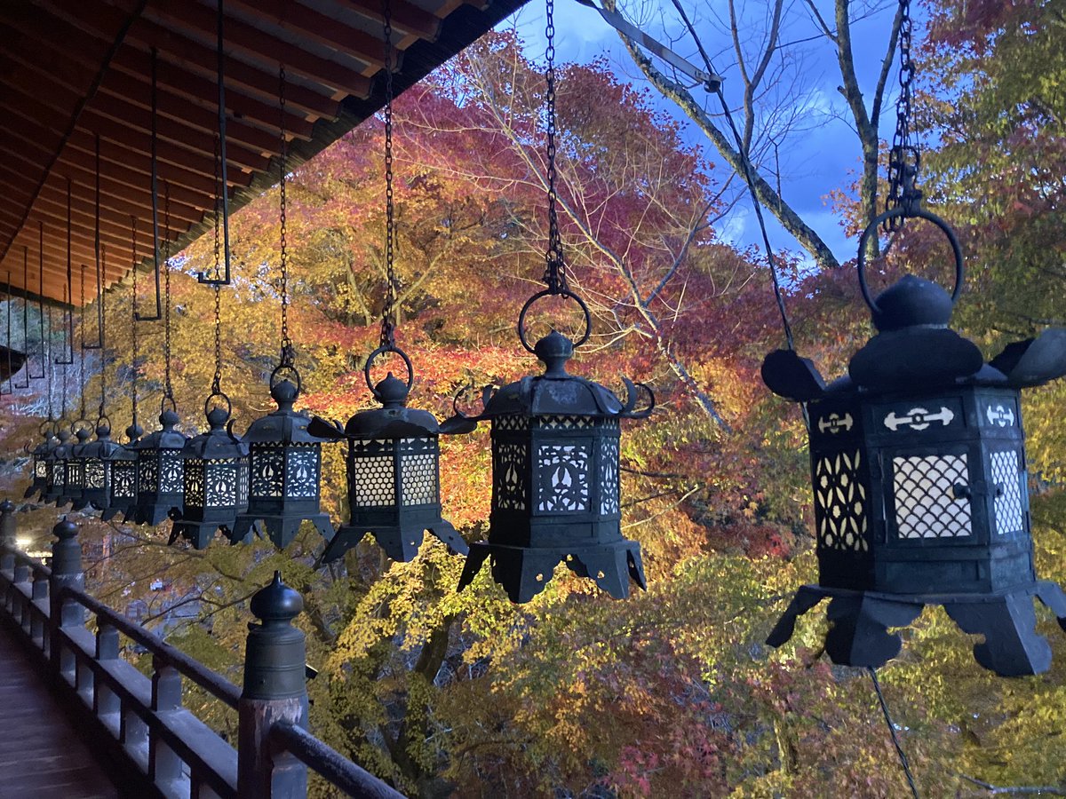 sureggataro's tweet photo. 談山神社ナウ https://t.co/2CtXTUc5sl