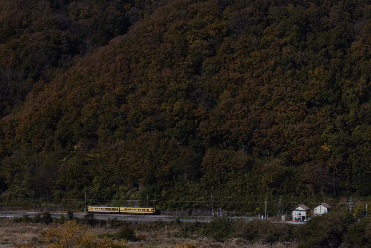 元気です