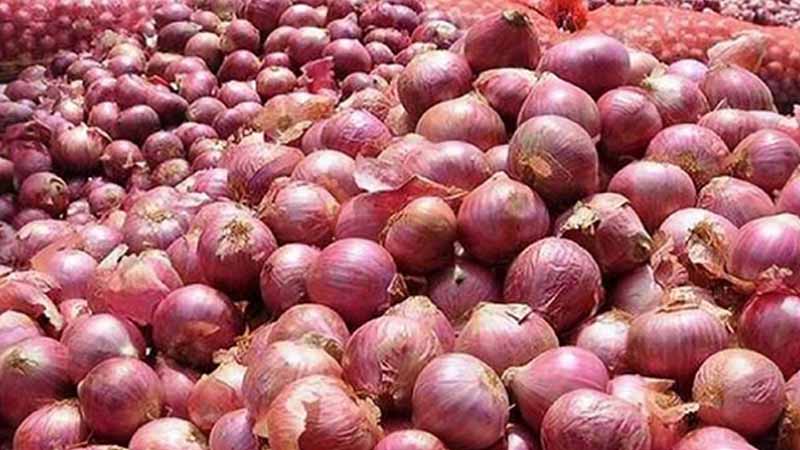 পেঁয়াজের দাম কমেছে