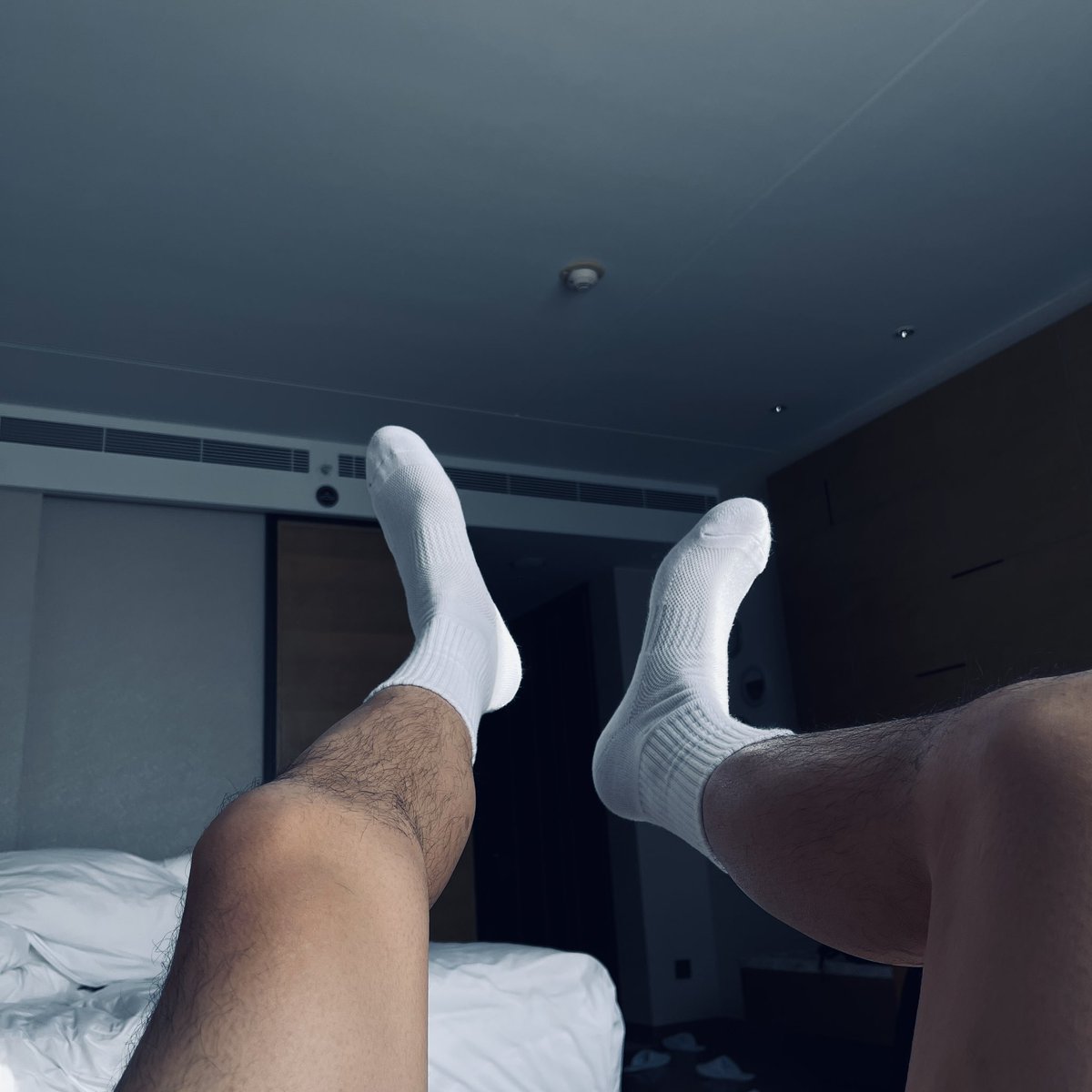 Albert _a tweet media