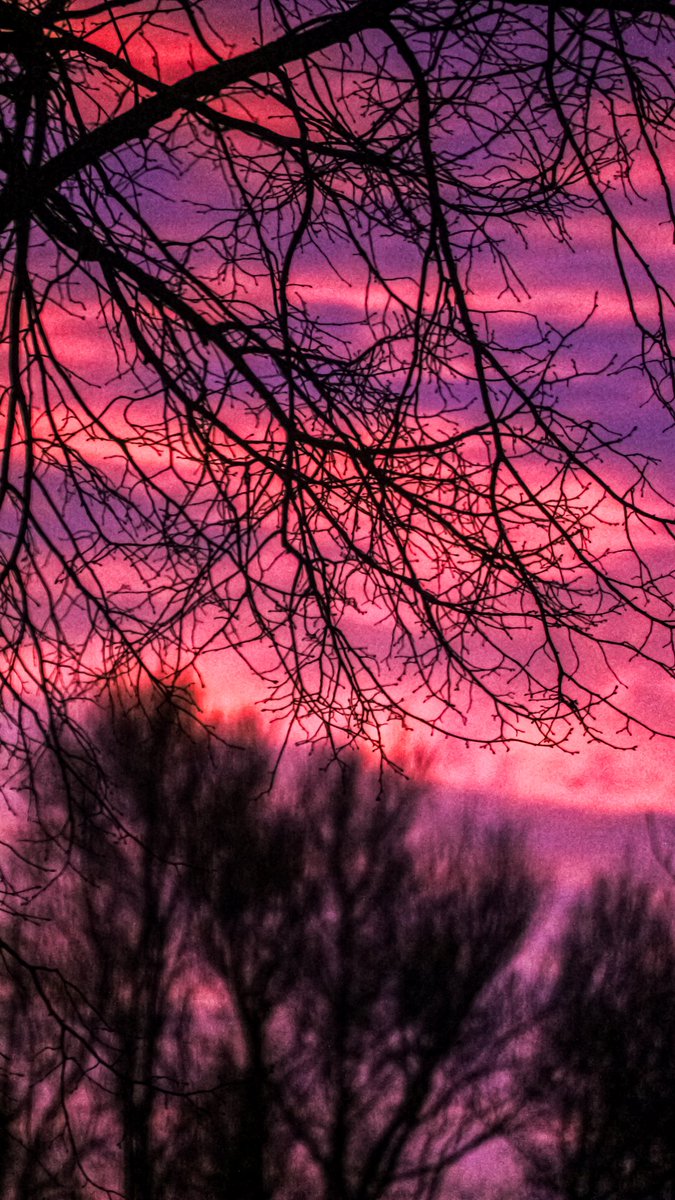 dinobreezy's tweet image. Goodmorning everyone ☕️ Have a great Saturday with these shots of the beautiful pink skies this morning 🩷😍

#GoodMorningX #SaturdayMotivation #PinkSky #morningsky #clouds #pink #colourful #photography #nature