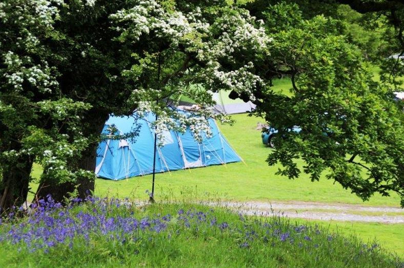 aroundaboutbrit's tweet image. ⭐ Campsite Gwynedd ⭐
🌄 Gwerniago Campsite is a peaceful spot in the Dyfi Valley near Pennal village in Mid Wales. 
🏕 Campsite 
aroundaboutbritain.co.uk/Gwynedd/4580 
#GwerniagoCampsiteAAB #Pennal #DyfiValley #SnowdoniaNationalPark #BirdWatchingWales #RedKiteSpotting #OspreyWales