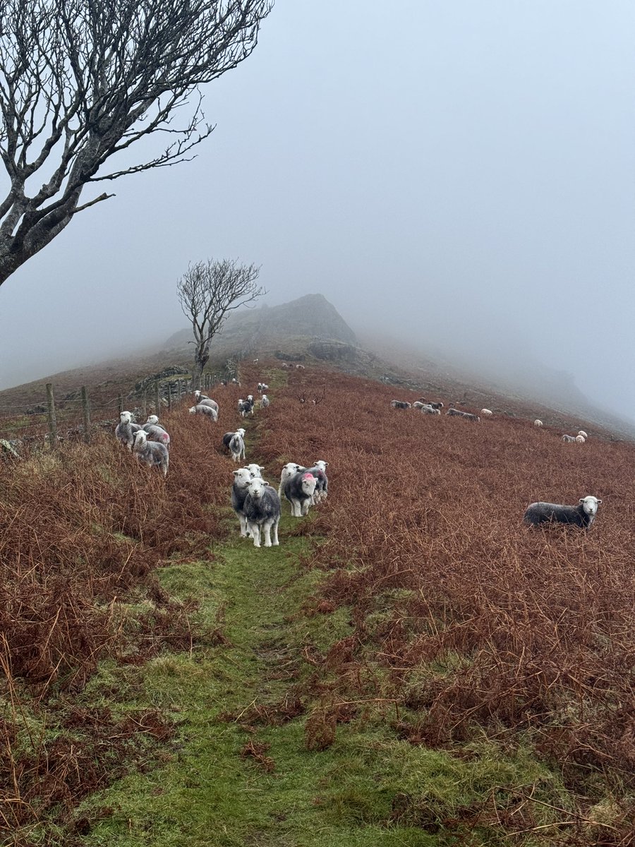 Darren Knight tweet media