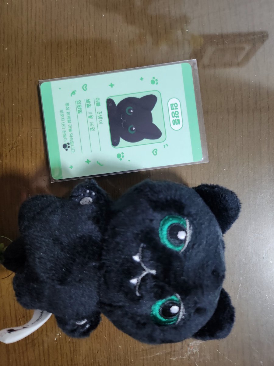 드디어 뀬밤이가 내 손 안에 꺄~