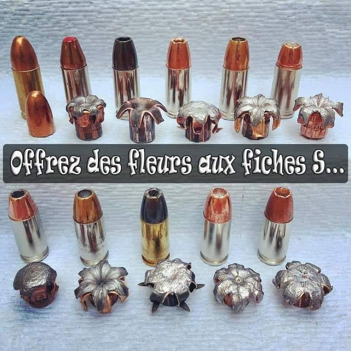 CeliaBondoufle's tweet image. #ficheS