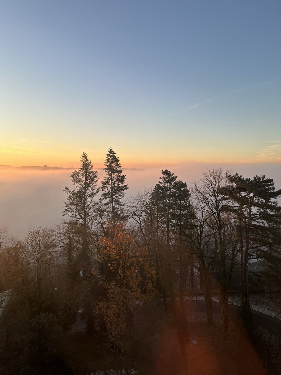 Good morning, #Luxembourg, and  on to more conversations on #earlymodern intellectual life Luxembourg. @bnluxembourg