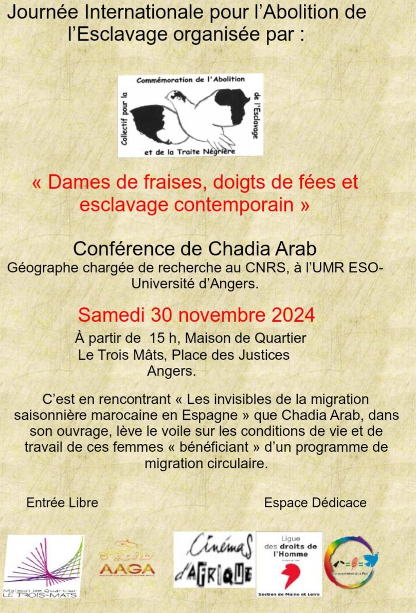 Arab Chadia tweet media