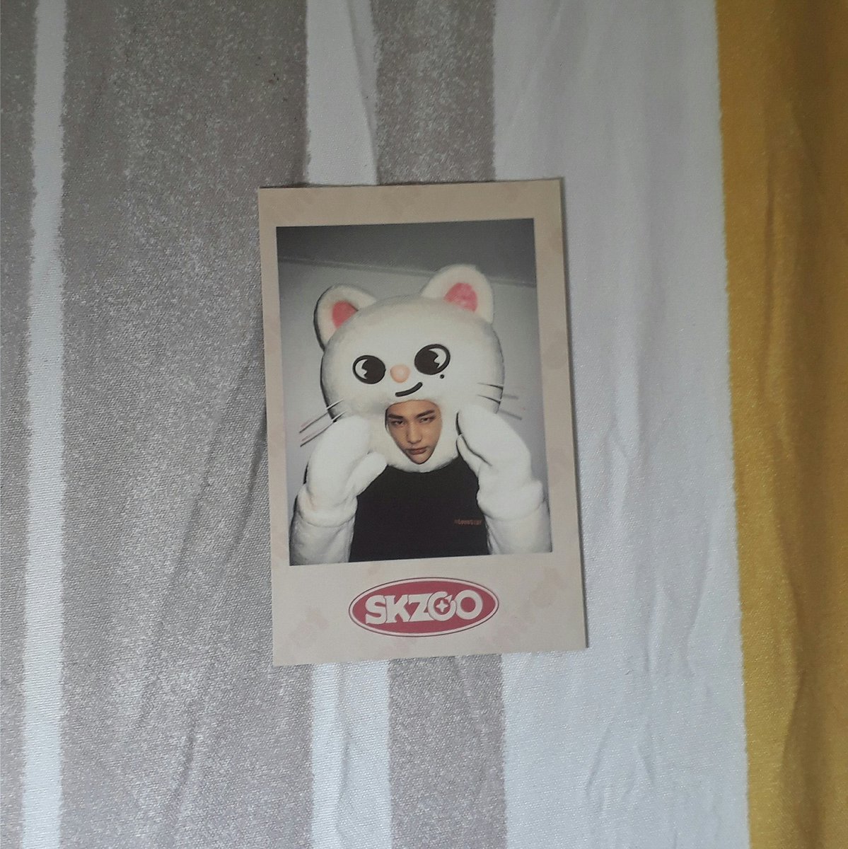 daiszycart's tweet photo. wts lfb skz ph

skzoo hyunjin jiniret polaroid – 300 php

| check pinned for more info

reply/dm if interested! https://t.co/aifQz41vFW