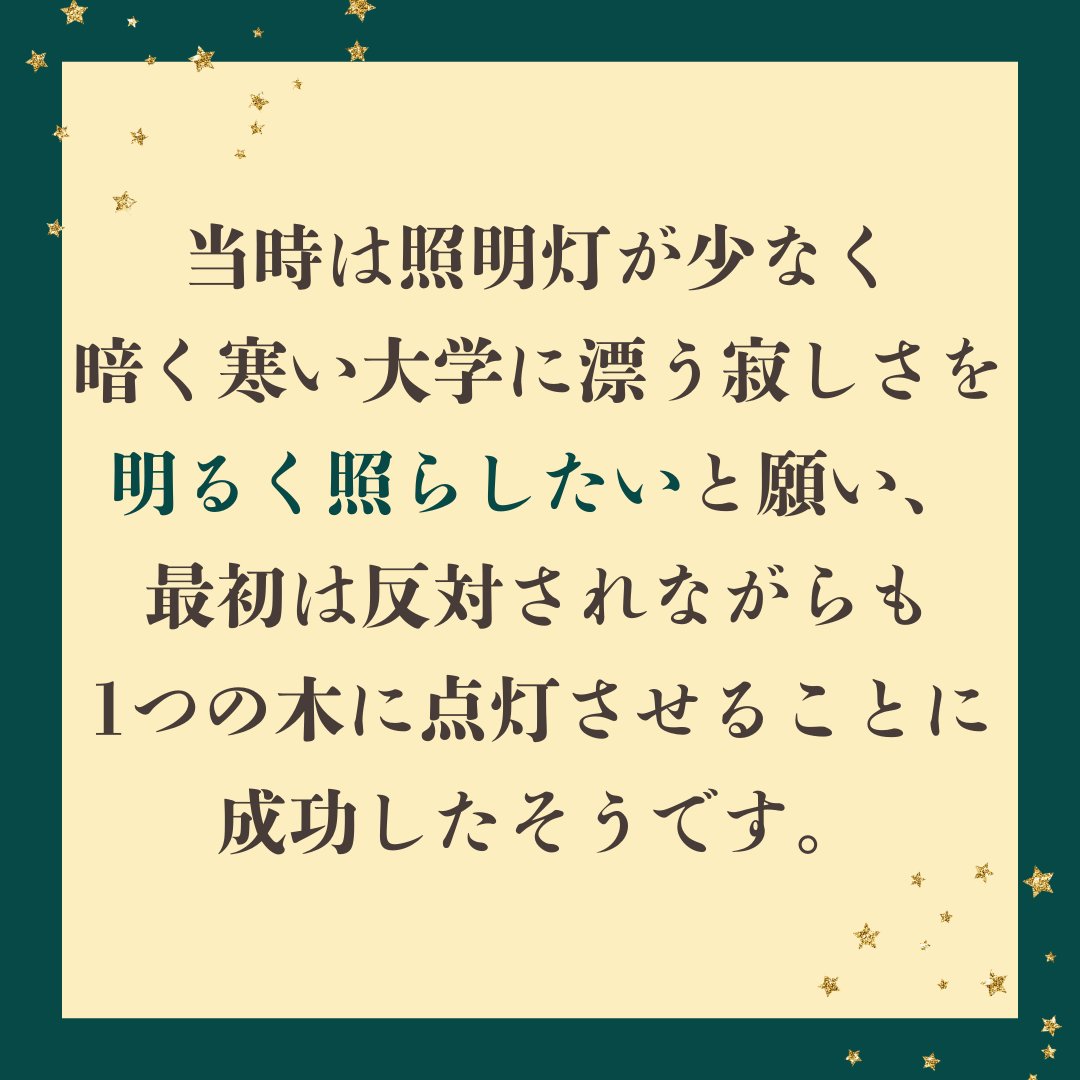Peercafe_sophia's tweet photo. ⋆⸜ Sophia Christmas Lights 2024 ⸝⋆

　上智大学でクリスマスにイルミネーションが灯ることは恒例化していますが、その始まりはひとりの学生でした。

　暗くて寒い大学を照らしたいと願った彼は、2000年、1つの木にイルミネーションを取り付け、小さくもあ��たかな光でみんなを照らします🕯️ https://t.co/M3UpFSklen