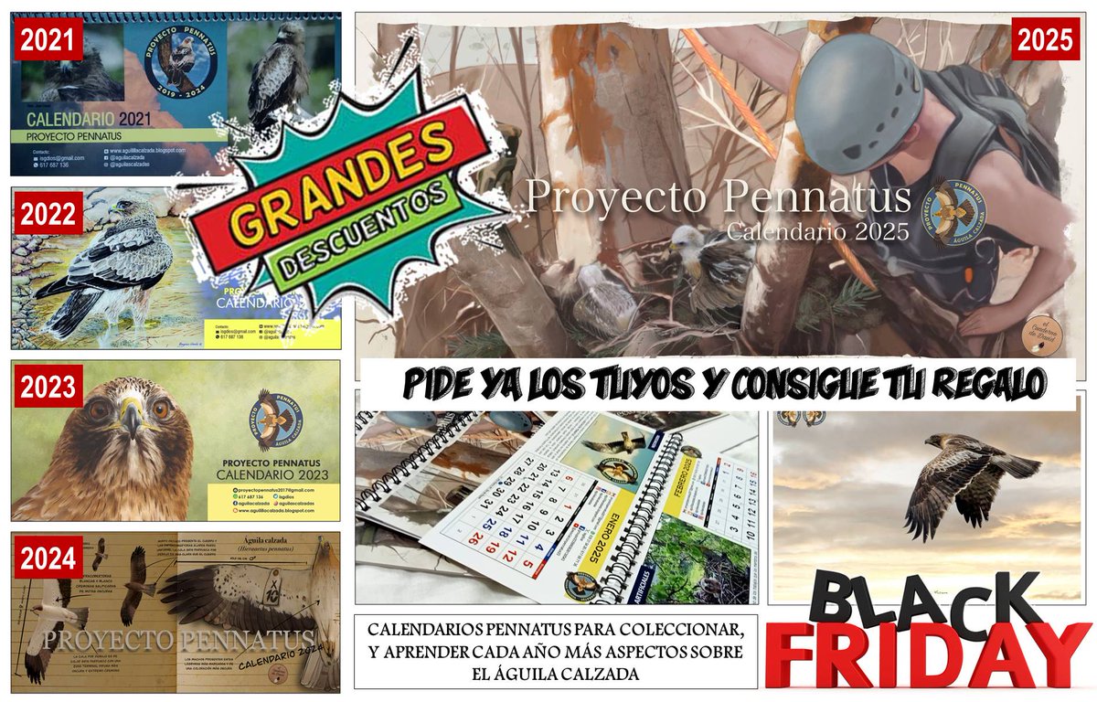 isgdios's tweet photo. BLACK PENNATUS EN EL PROYECTO DEL ÁGUILA CALZADA!!! Hasta el DOMINGO 1 DICIEMBRE, aprovecha nuestras ofertas y descuentos en el Black Friday, y colabora con el estudio del aguila calzada. PEDIDOS: WHATSAPP (617687136) o EMAIL (isgdios@gmail.com / proyectopennatus2017@gmail.com) https://t.co/HpRnPQVLId