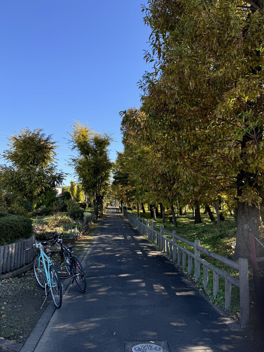 sano_maya's tweet photo. 12月放送のチャリ娘ロケ🚲
冬に咲くヒマワリを発見しました🌻
放送エリアの皆様、お楽しみに〜 https://t.co/ZQc7end7pp