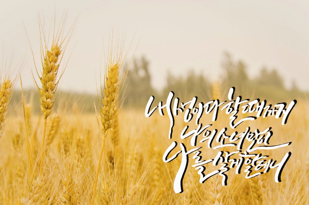 말랭 캘리 tweet media