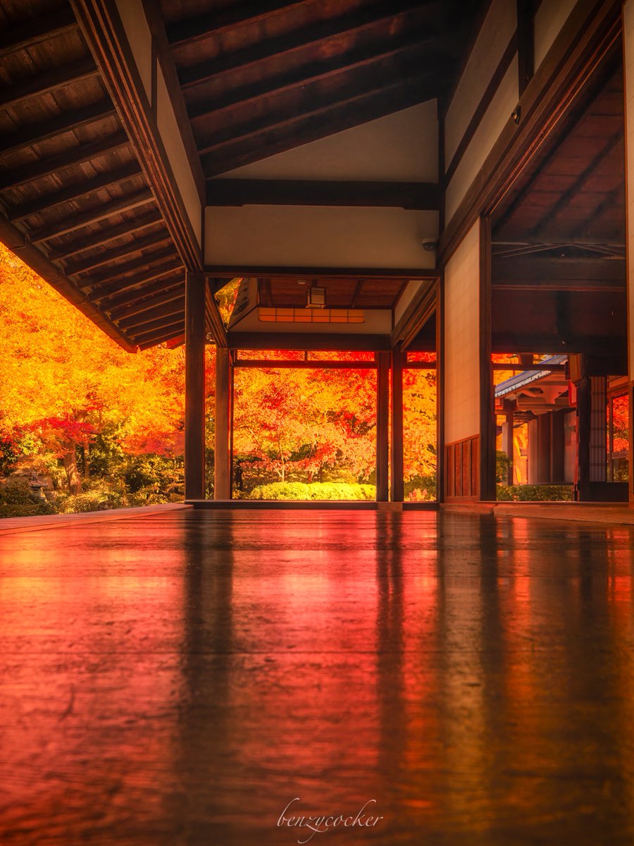 benzycocker's tweet photo. 京都 源光庵、もうひとつの秋幻想。 https://t.co/EABQ37zic5