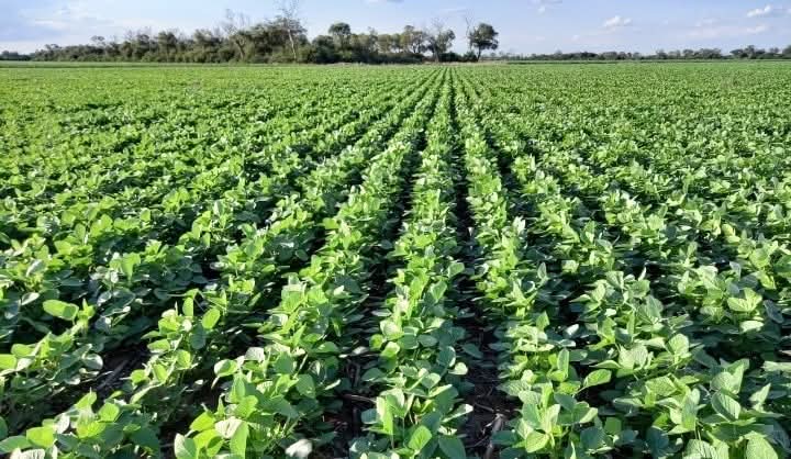 U Burundi bwiza, u Burundi bwa nyaburunga, u Burundi butanyerera, u Burundi buhumiriza bose, u Burundi bw'amata n'ubuki, u Burundi, u Burundi bw'inka n'imirima. Kubw'umuhezagiro wa <a href="/GeneralNeva/">SE Evariste Ndayishimiye</a>, site #Mashitsi muri Commune #Giheta ya <a href="/Gitega/">Province Gitega</a> ibereye ijisho.
<a href="/NtareHouse/">Ntare Rushatsi House</a> <a href="/CnddFdd/">CNDD-FDD</a>