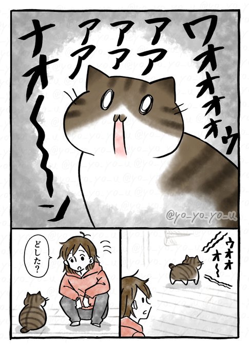 GdnsnomaoAAjp32.jpg:small